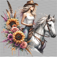 Country music-CU 253